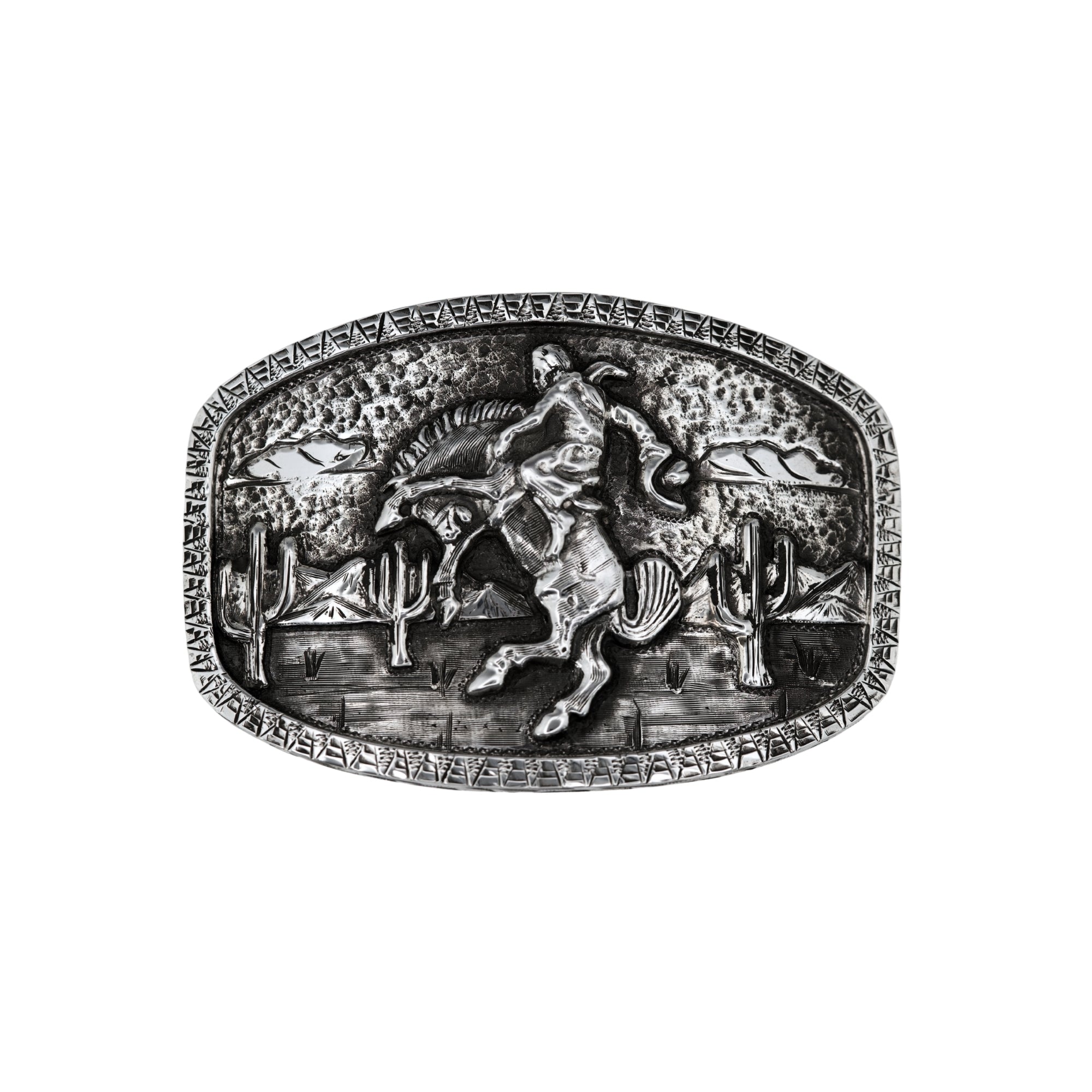 Oval bucking horse with Arizona scene backdrop.