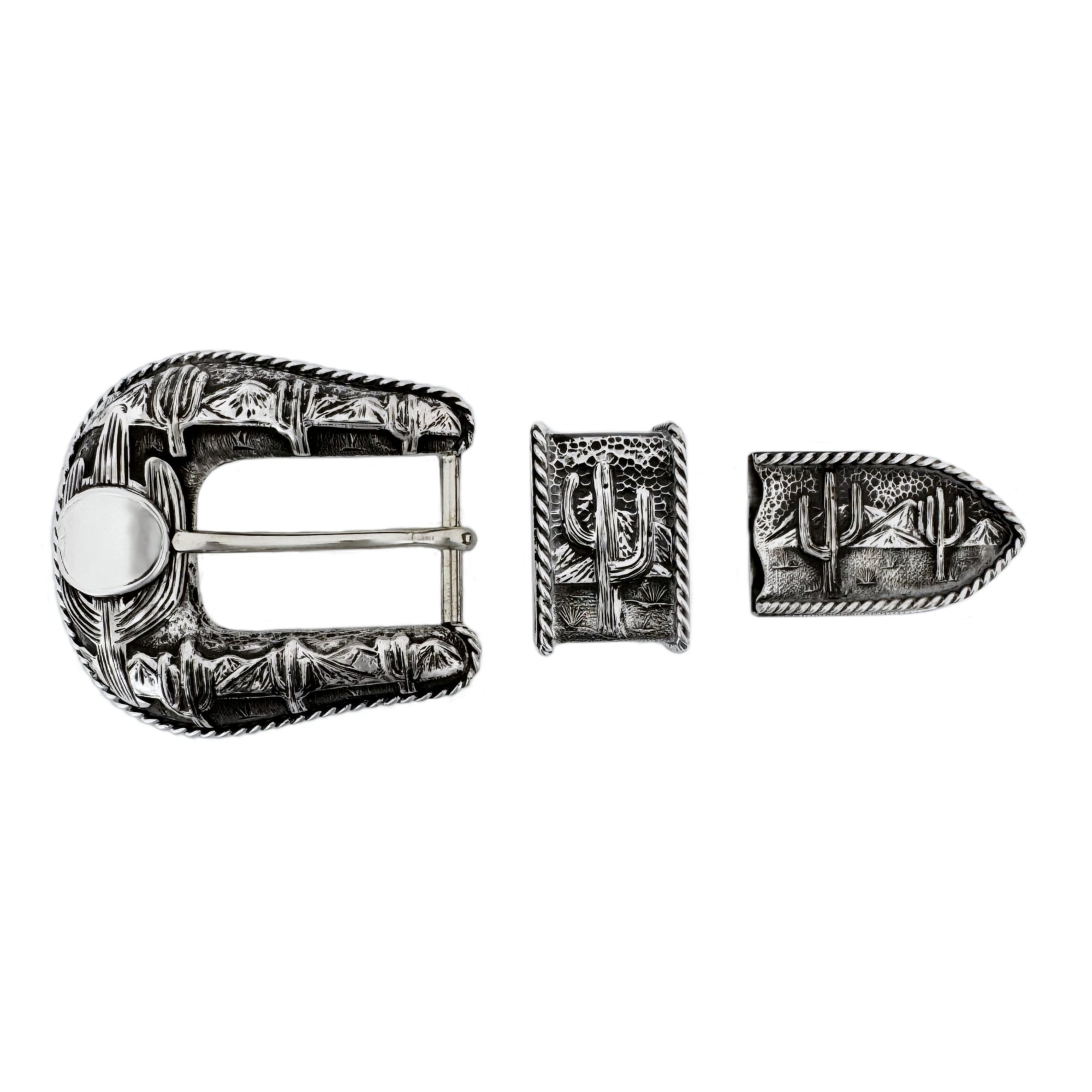 Arizona scene on a 3 piece buckle set in all silver