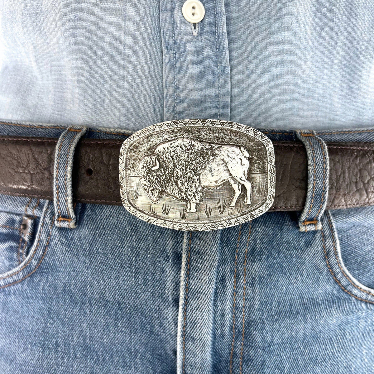 1884 Buffalo - Sterling Silver
