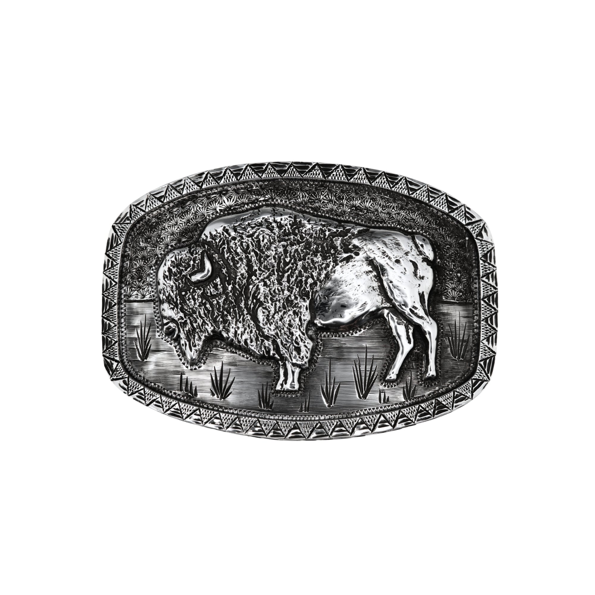 1884 Buffalo - Sterling Silver