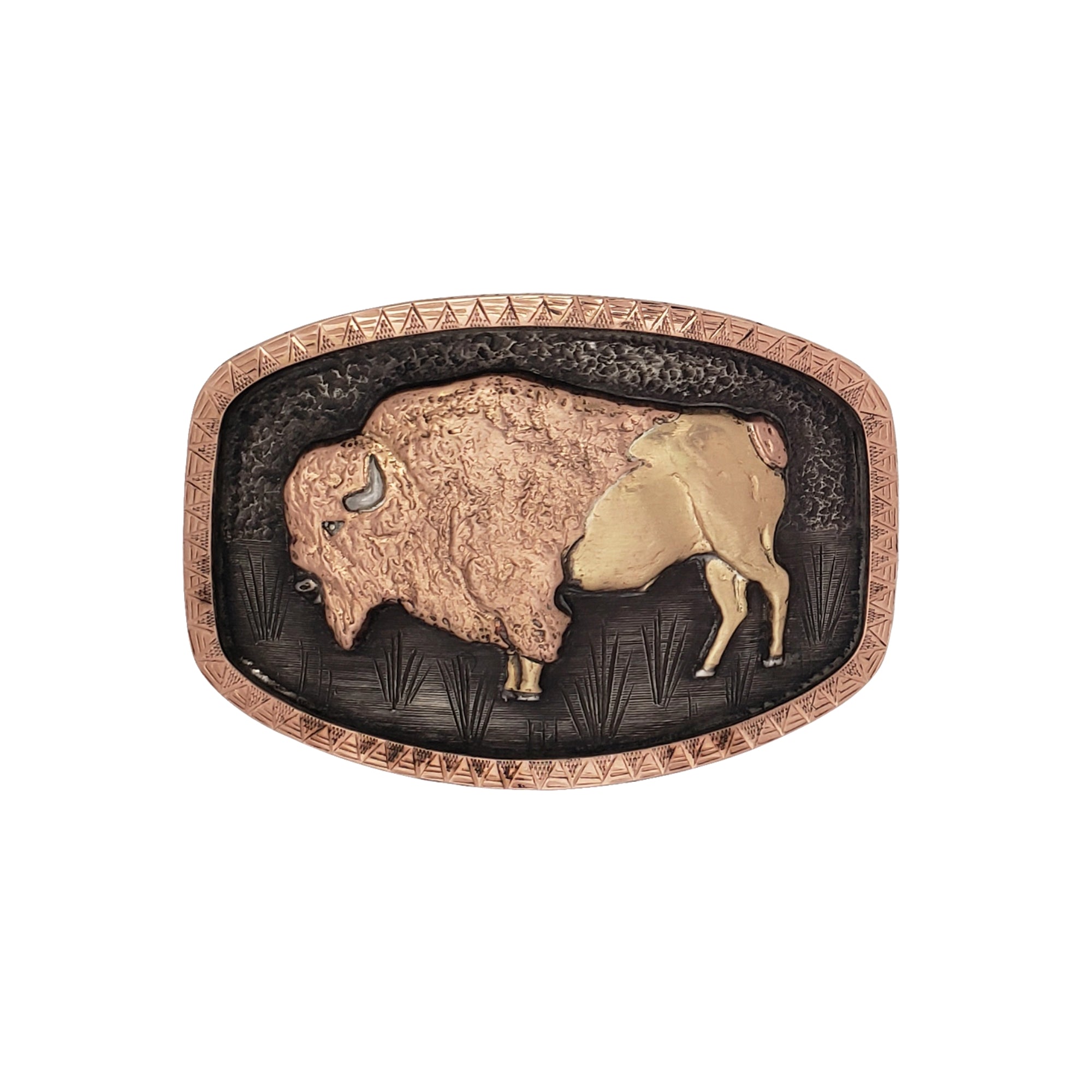 1884 Buffalo - 2 - Color Gold